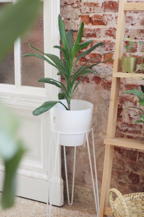 Portamaceta Hairpin 50cm