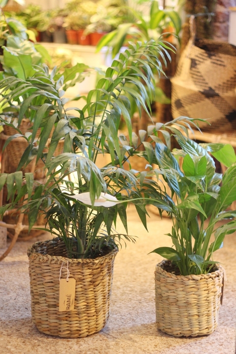 Cesto Trenza Mediano