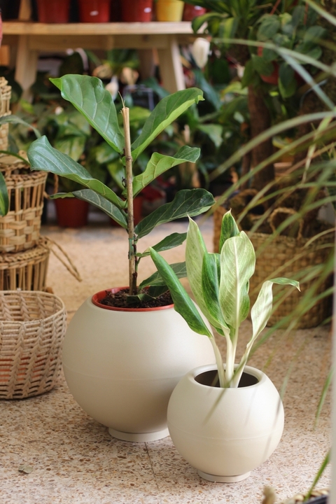 Esfera Rotomoldeada Grande