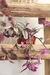 Tradescantia Nanouk en internet