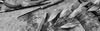 Banner NARU