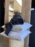 Pack 2 almohadones + manta de regalo - comprar online