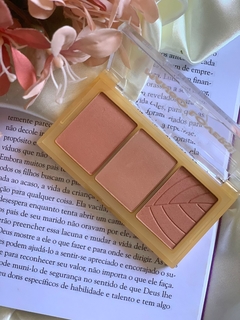 Blush Fruit Lovers Sp Colors
