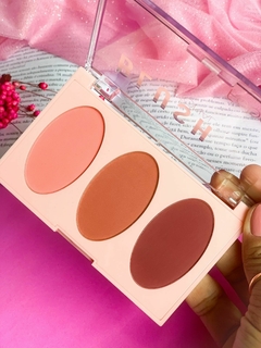 Paleta Trio de Blush Profissional Maquiagem Febella - comprar online
