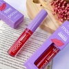 Gloss Plump Volume Labial Mood