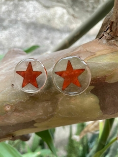 Estrela de Plátano - comprar online