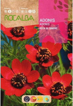 ADONIS ROJO( ADONIS AESTIVALIS ) SEMILLA ROCALBA