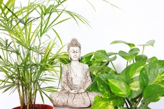 BUDA mediano ARMONIA 27X20X23 - comprar online