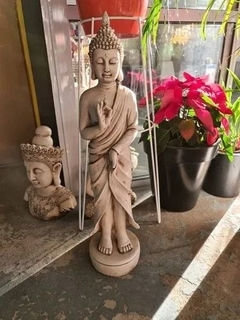 BUDA DE LA ESPERANZA 80X20X20