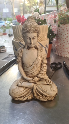 BUDA REAL RESINA