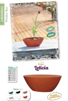 MACETA LETICIA Nº35 MATRI
