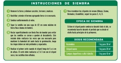 SEMILLAS TREBOL BLANCO GREENLAND - tienda online