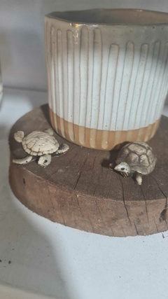 MINI TORTUGUITAS PINTADA