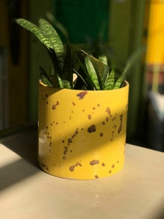 MACETA CILINDRO TUBO MEDIANO 17X17 CERAMICA - tienda online