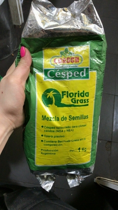 Guasch Semillas Florida Grass Cesped - Climas Calidos