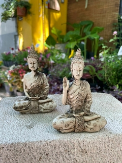 BUDA MINI ALI (3 MODELOS) RESINA