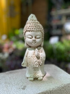 BUDA PRINCIPITO RESINA 21CM