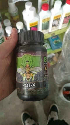 POT-X BIOESTIMULANTE 250CC - comprar online