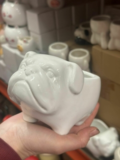 MACETA BULLDOG INGLES CERAMICA - comprar online