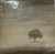 LP Genesis – Wind And Wuthering