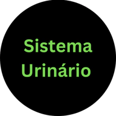 Categoria 5