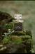Inspiração FlowerBomb Viktor&Rolf - Perfume Feminino Leona número 170 - comprar online