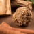 LIMPIAR - Bombita Herbal (Caja x 4) - comprar online