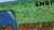 CAPTAIN TSUBASA - LEER DESCRIPCION en internet