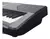 BONTEMPI NU002 Teclado sensitivo de 5/8 61 teclas - 3W AUDIO
