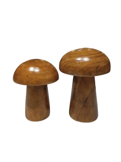 Cogumelos em madeira