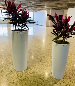 Vaso Eiffel
