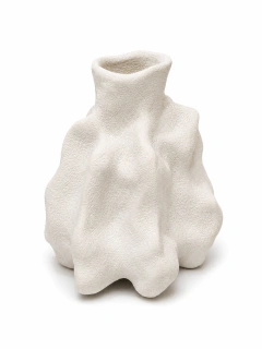 Mini Vaso Orgânico