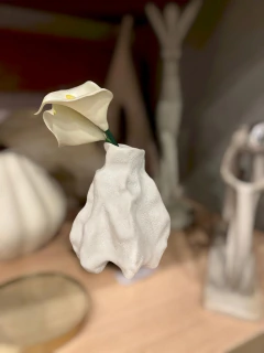 Mini Vaso Orgânico - comprar online