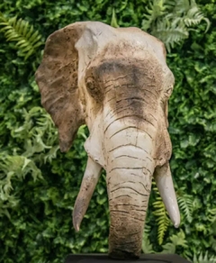 Escultura Cabeça de Elefante Personalizada