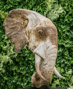 Escultura Cabeça de Elefante Personalizada - comprar online