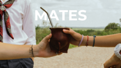 Banner de la categoría Mates