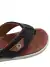 Chinelo Masculino Cartago Malta Vi D Marrom/Castor 12496 - comprar online