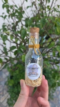 Garrafa Cristal Signo - Escorpião na internet