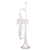 Trompete cor prata LMR-1141G Lamounier - comprar online