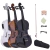 Violino Elétrico Acústico 4/4 LAMOUNIER LMR-0104EL_ESTOQUE em GOIANIA (OFERTA) na internet