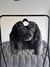 Tapado Abner - Divinas Boutique