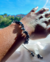 Pulseira Cascalho Hematita Ajustável - comprar online
