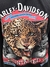 Buzo NyLon en internet