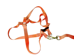 Conjunto Peitoral e Guia Ajustável RBPet - Cães de Grande Porte - WR Mello Distribuidora