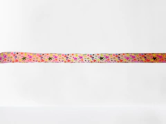 Conjunto Peitoral e Guia Ajustável RBPet - Cães de Pequeno Porte - loja online