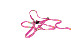 Conjunto Peitoral e Guia Ajustável RBPet - Cães e Animais de Mini Porte na internet