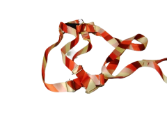 Conjunto Peitoral e Guia Ajustável RBPet - Cães de Médio Porte - comprar online