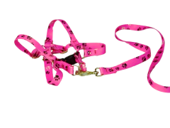 Conjunto Peitoral e Guia Ajustável RBPet - Cães e Animais de Micro Porte - loja online