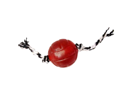 Brinquedo para cães Bola Cristal Bone Lisa Laço Preto 75mm - comprar online