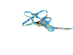 Conjunto Peitoral e Guia Ajustável RBPet - Cães e Animais de Mini Porte - comprar online